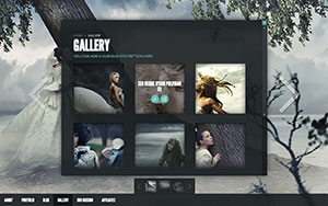 Elegant Themes The Style Theme