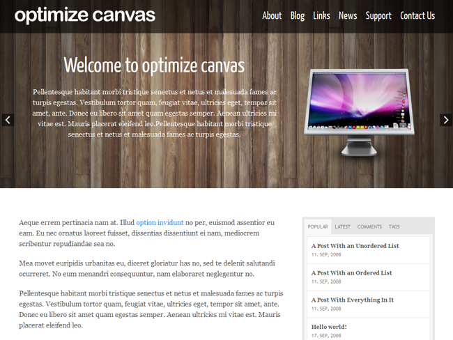 Optimize Canvas Child Theme